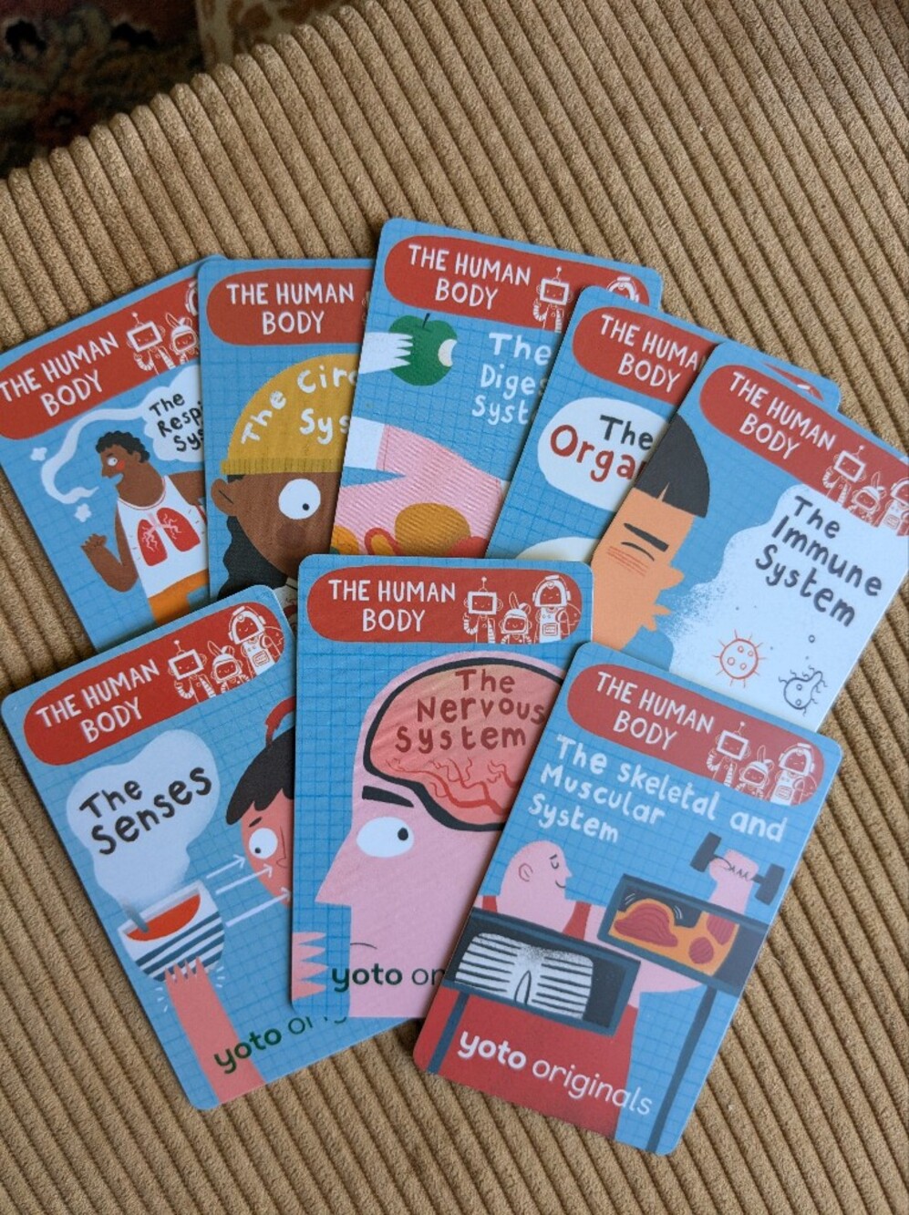 The Human Body Yoto Cards Set